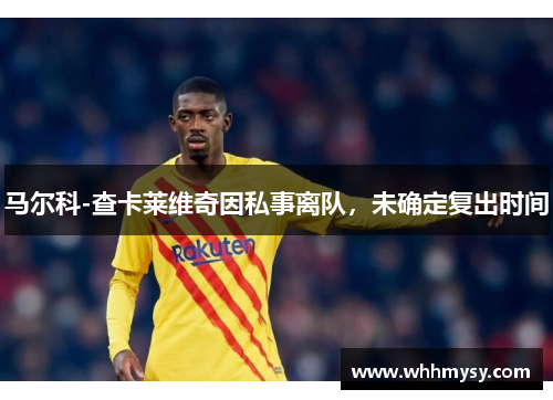 马尔科-查卡莱维奇因私事离队，未确定复出时间