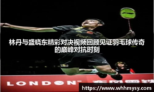 林丹与盛晓东精彩对决视频回顾见证羽毛球传奇的巅峰对抗时刻